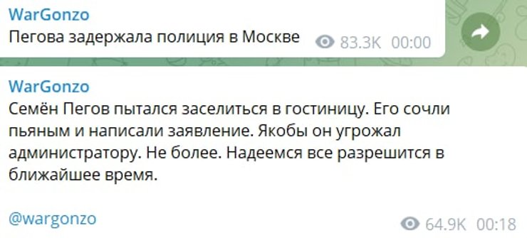 пропагандист, пегов