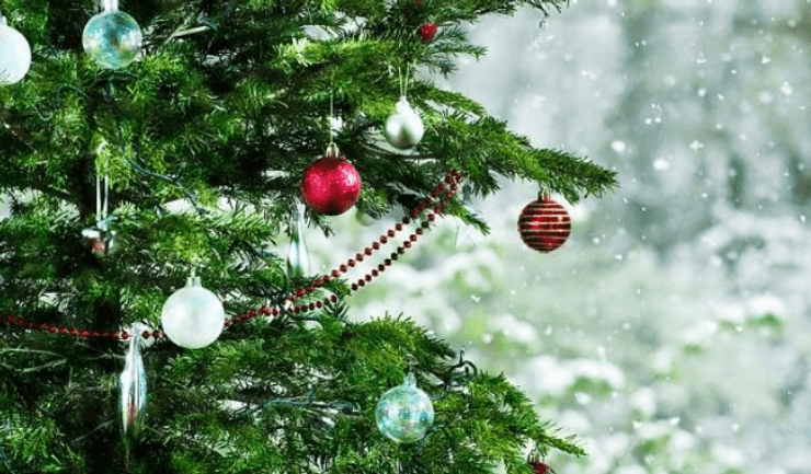 новорічна ялинка, ялинка, новий рік, ялина