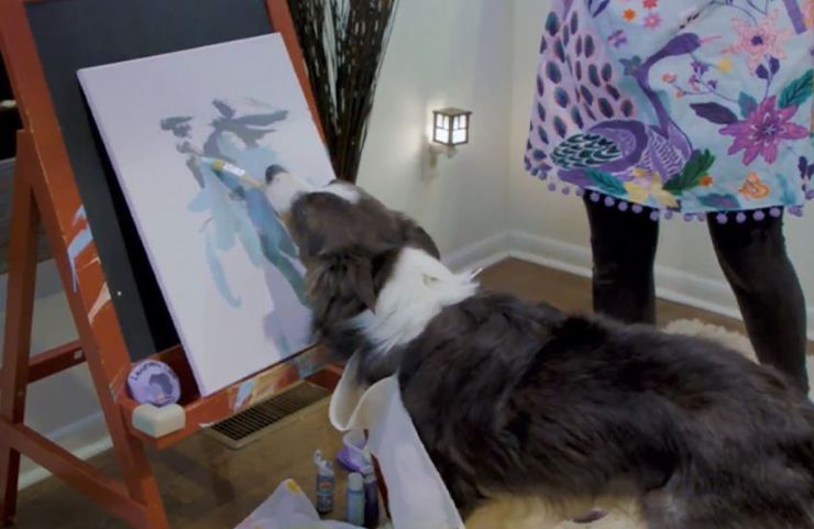 Самый умный в мире пес побил два рекорда Книги рекордов Гиннеса, достижения, животные, достижения, интересное