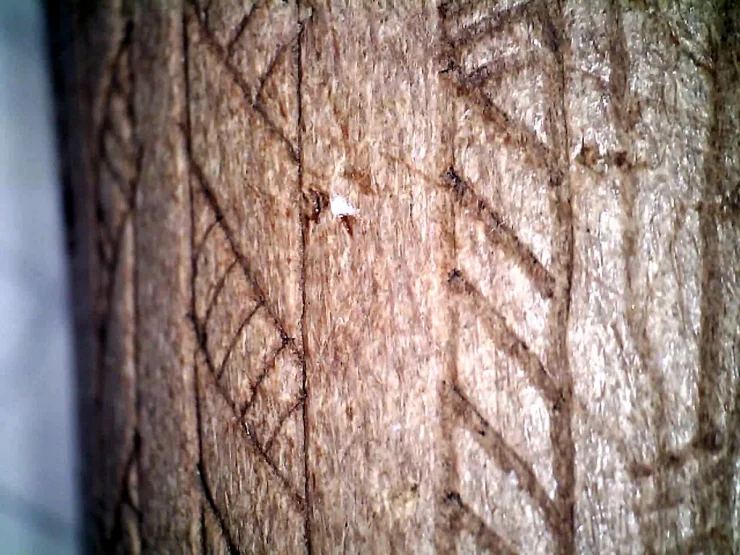 різьблення візерунки ріг