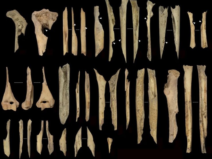 кости древние люди каннибализм