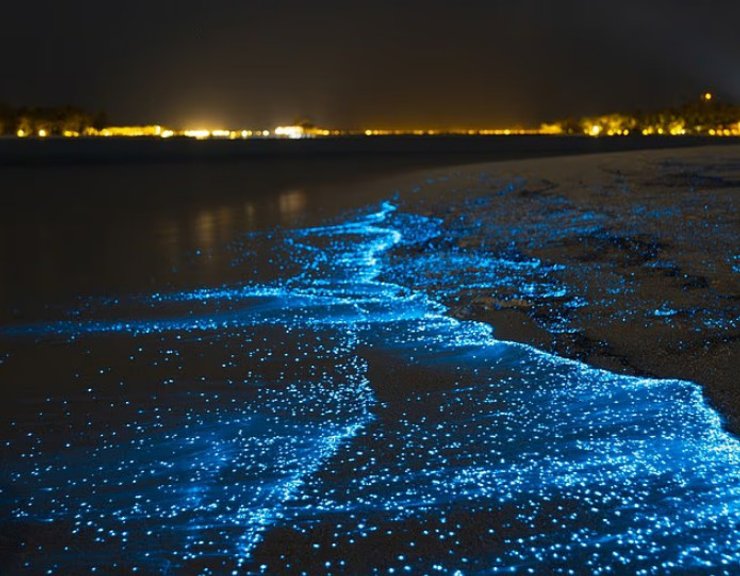 "Море звезд"