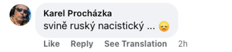 Комментарий пользователя.