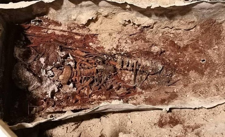 скелет, испания, находка