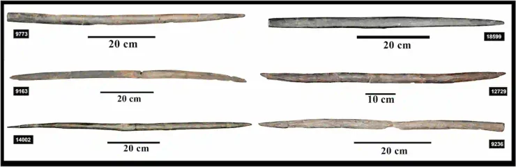 Луки були виготовлені з різних видів деревини