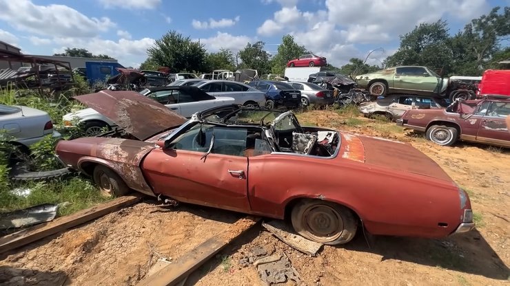 Меркури Кугуар