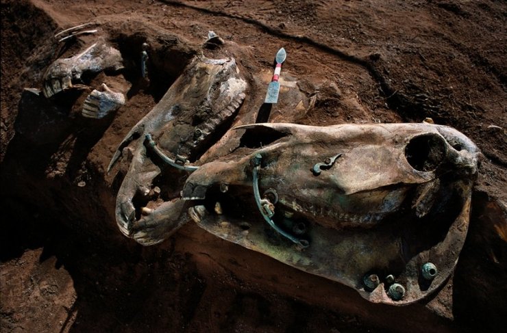 курган, захоронение