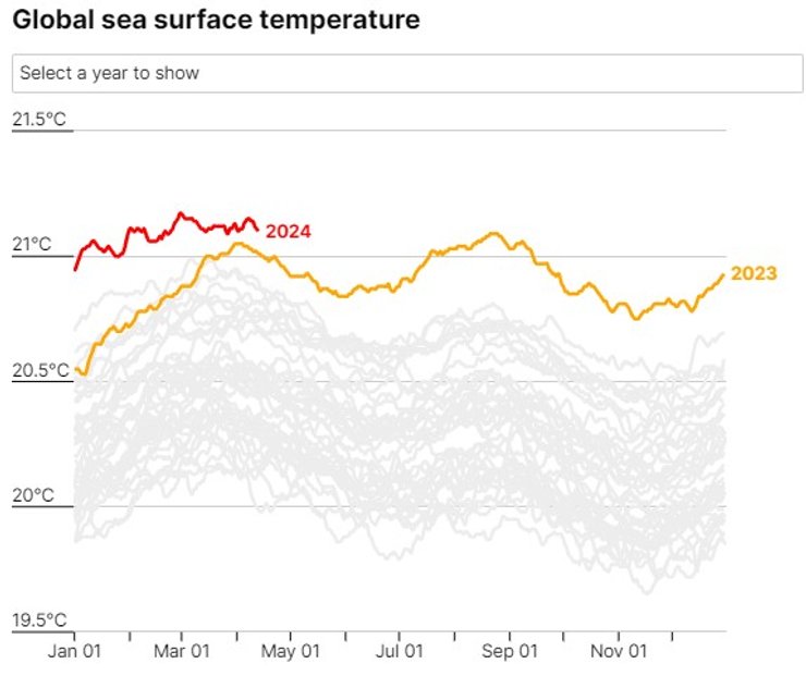 океан температура