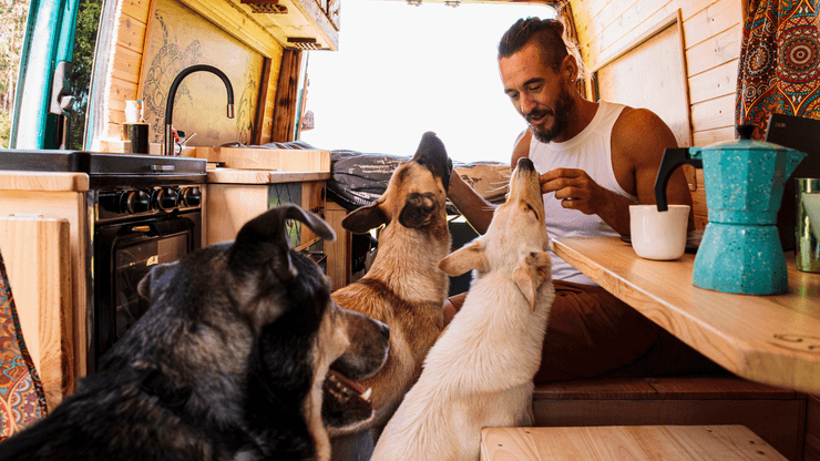 Фургон, дом на колесах, мужчина путешествует в фургоне, кемпинг, живет в фургоне, живет с собаками в фургоне