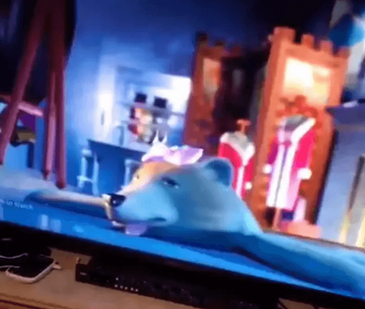 Многие люди наверняка не замечали мрачную сцену из культового мультфильма "Шрек"