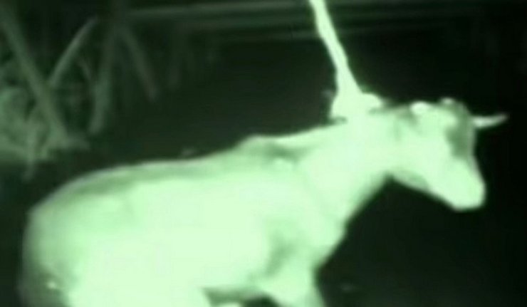 коза крокодил людоед