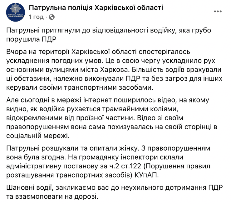 патрульная полиция, Юлия Андриенко, штраф, модель