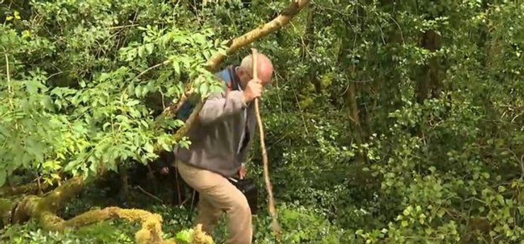 Фортеця Ірландії