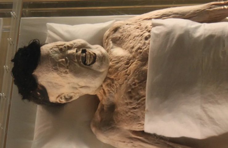 мумия Синь Чжуй