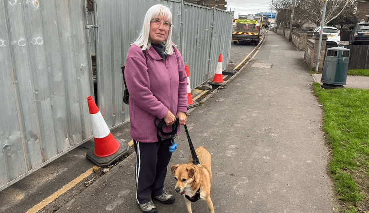 Барсуки, животные, полосатая угроза, млекопитающие, барсуки захватили город, барсуки разрушают дороги, ремонт дороги, наносят ущерб инфраструктуре