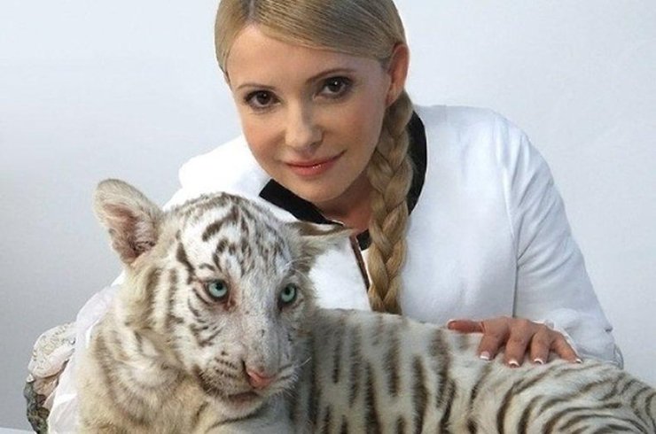 Зубков пытался угодить и украинским чиновникам, оказывая им знаки внимания