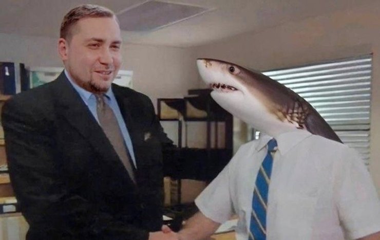акула, єгипет, росіянин