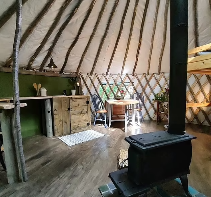 Побудували юрту посеред лісу, брати Джейсон та Метт Дафф, жило, нерухомість, США, туризм, екологічні проєкти, фото