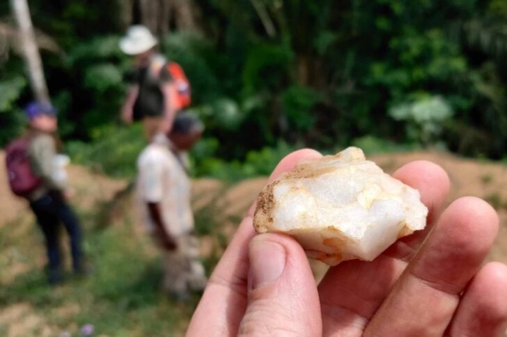 леса, Африка, поселения, ранние люди, исследования, орудия труда, тропики, хронология, популяция, среда, хронология