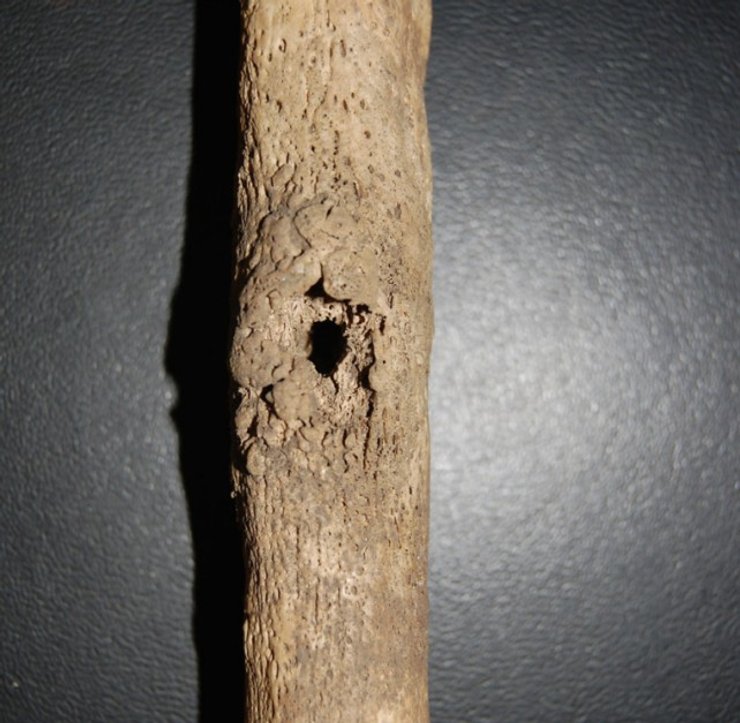 археология, история, исследования, древние люди