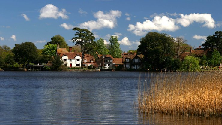 Деревня в Нью-Форесте