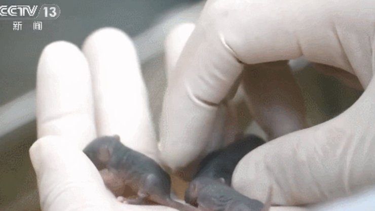 миша космос Тяньгун