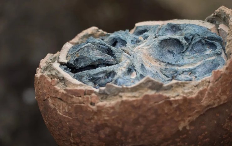 фрукт пушечное ядро