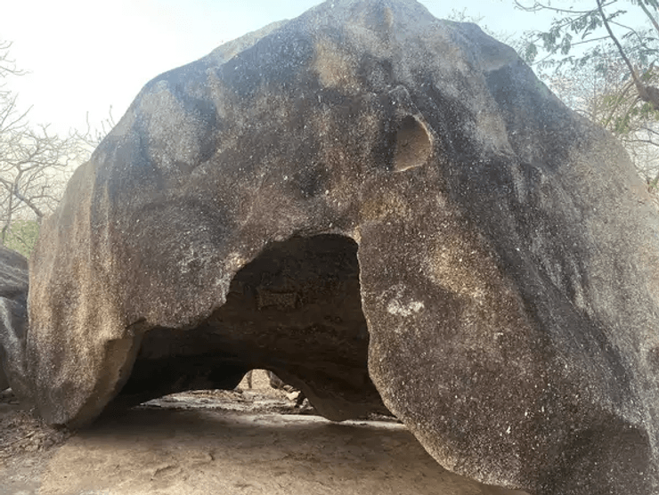 Девгадх Барія, ведмеді-лінивці, середній кам'яний вік, наскельні малюнки, археологічне відкриття, епоха мезоліту, заповідна лісова зона, житло людини, стародавнє мистецтво