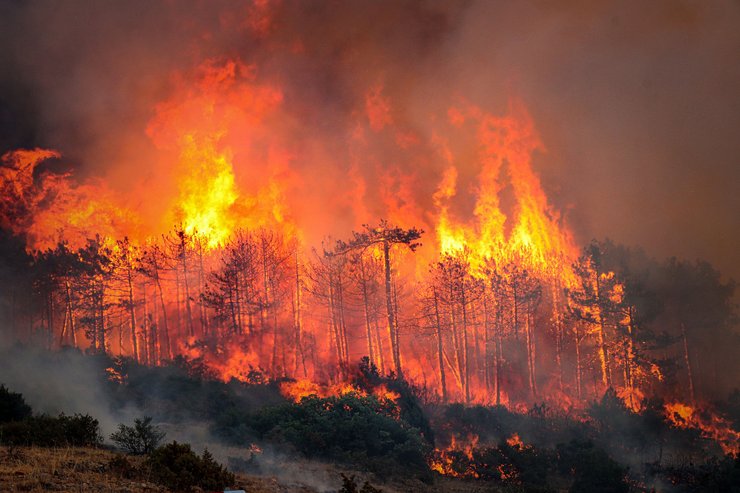 Апокаліптичні пожежі охопили Туреччину через рекордну спеку
