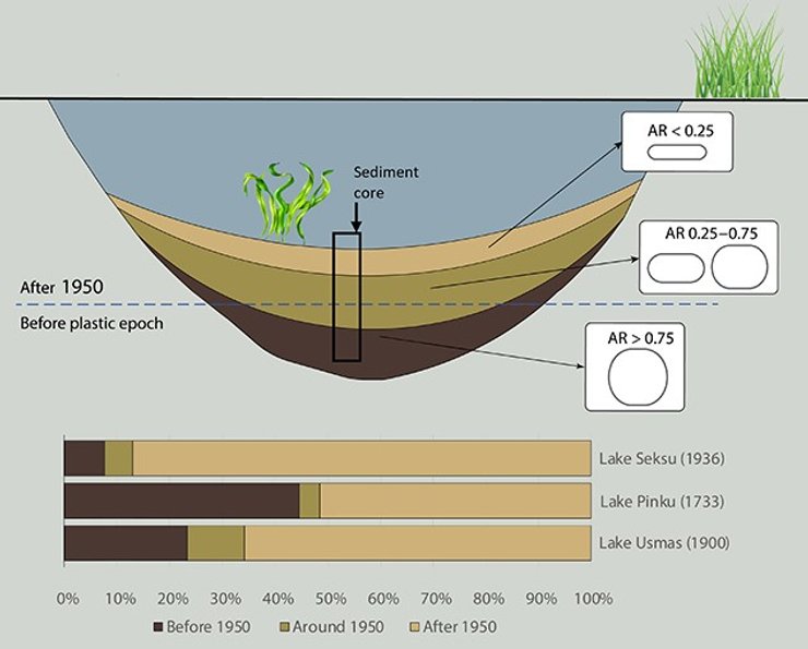 озеро отложения пластик