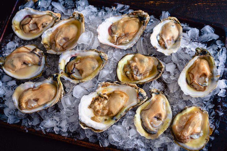 Устрицы на льду