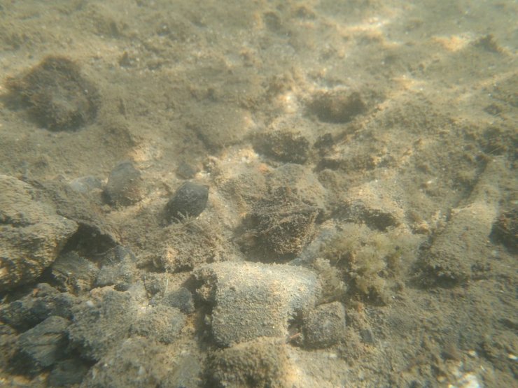 дно, раскопки, фото