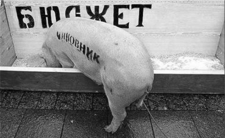 бюджет свинья