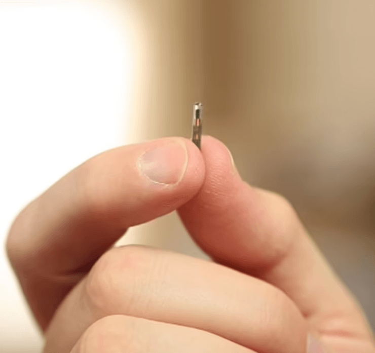 Чипирование собак, чипирование животных, чип, микрочип, сканирование чипа, мама вживила в дочь микрочип