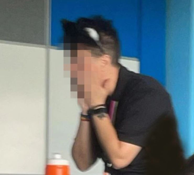 Вчителька з Австралії ідентифікує себе як кішку, курйози, приколи, цікавинки, скандал з педагогом