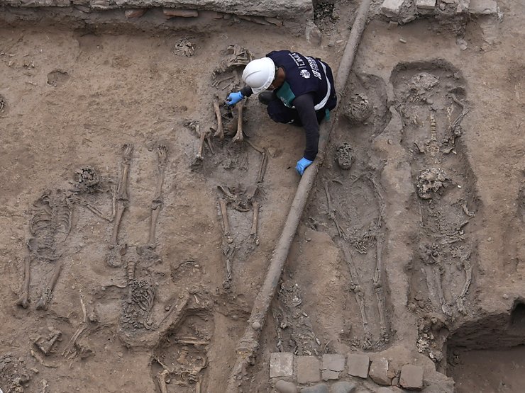 скелеты, раскопки, ученый, фото