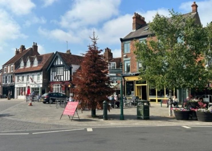 Городская елка, голуби, гнездо, елка, дерево, Рождество, новый год, город, городской совет,