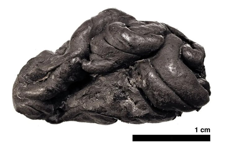 жувальні гумки стародавніх людей