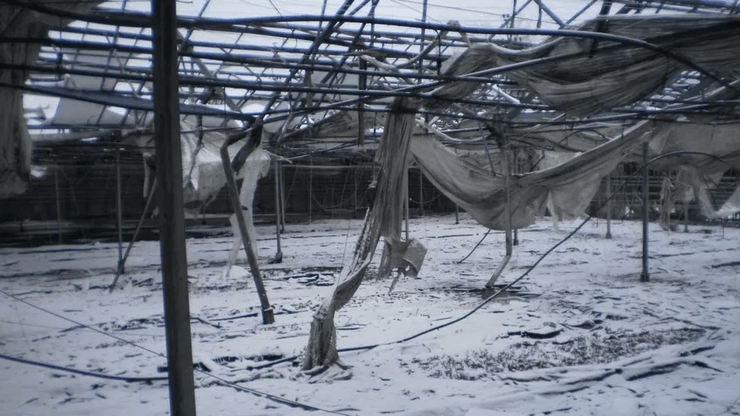 То, что осталось от бизнеса украинцев в Донецке