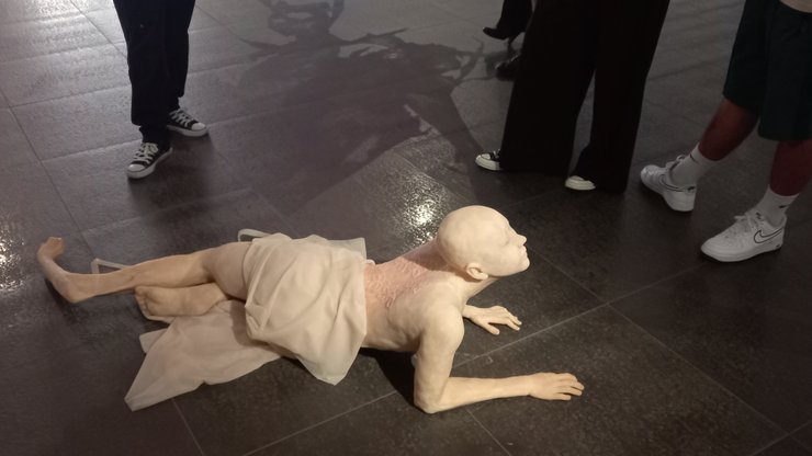 Мегуми Охата, Сады грез, Центр современного искусства М17