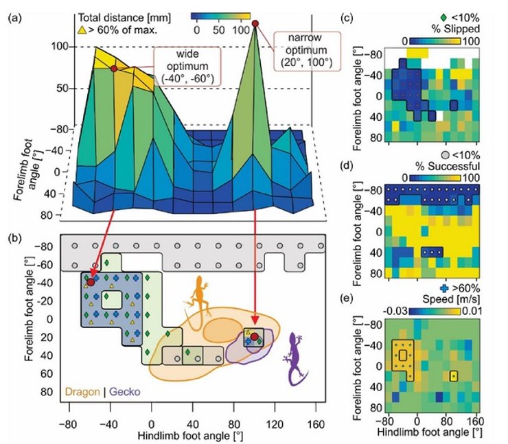 ящерица, робот