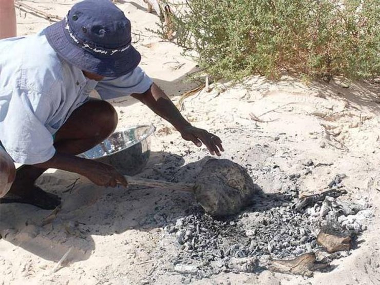 Австралія, хліб, борошно, аборигени, історія, єгиптяни, тісто, зерно, харчування, корінне населення, випікання, жорна, знахідка, вода, технологія, спадщина