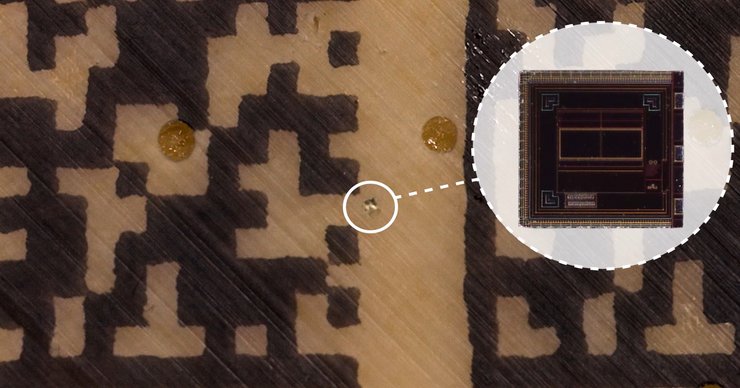 сыр, пармезан, чип, чипирование