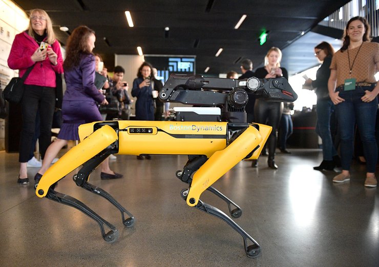 Робопес, Boston Dynamics - фото