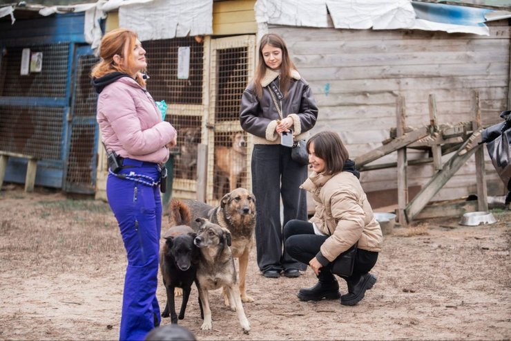"Запали зірку тепла": українські знаменитості долучились до зимової кампанії допомоги тваринам