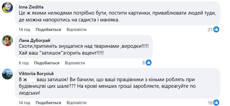 Издевательство над животным, лошадь, Буковель, комментарии, издевательство над лошадью