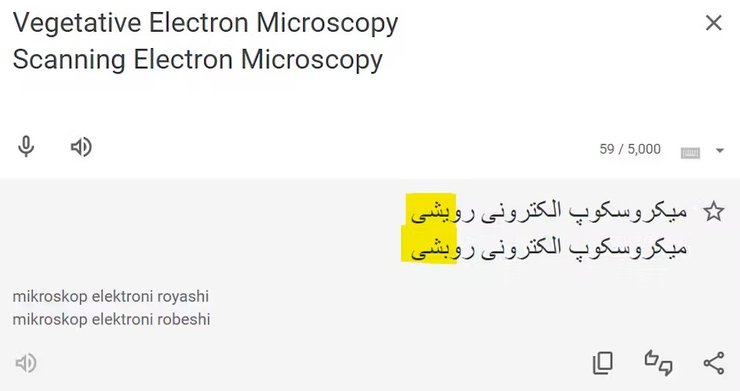 фарси, ошибка, научные работы