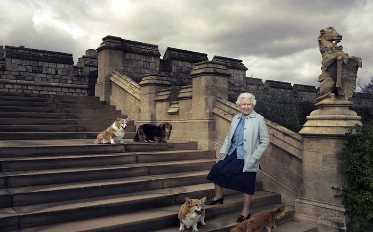 королева елизавета, корги, виндзорский замок