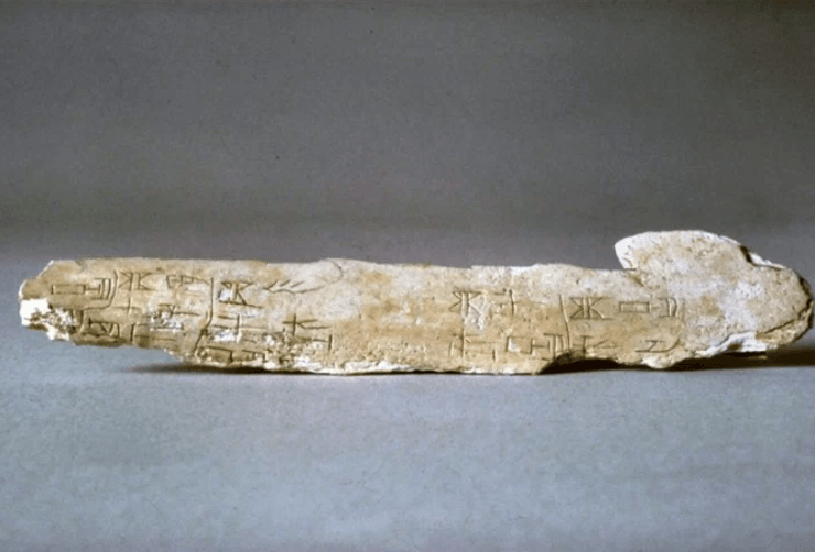 Китай, археология, кости оракулов, обряды, предсказание будущего, иероглифы, трещины, кости, история, исследование, письмо, письмена, толкование, надписи, развитие письменности