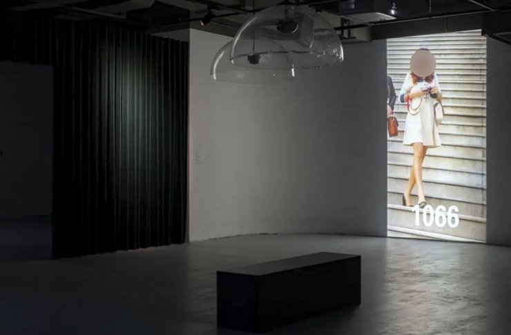 выставка, Китай, внешность